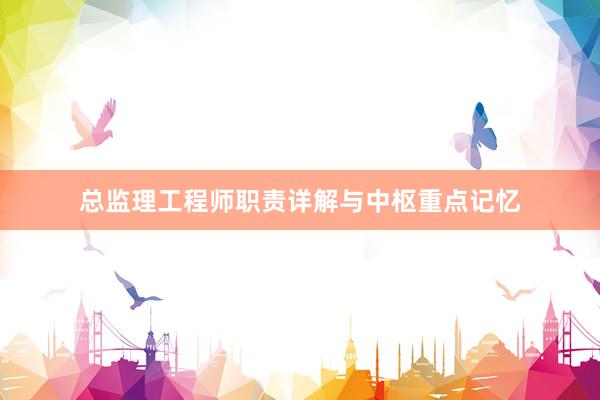 总监理工程师职责详解与中枢重点记忆