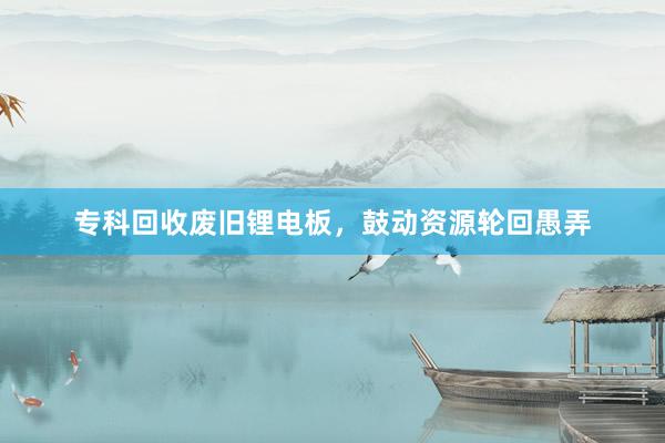 专科回收废旧锂电板，鼓动资源轮回愚弄