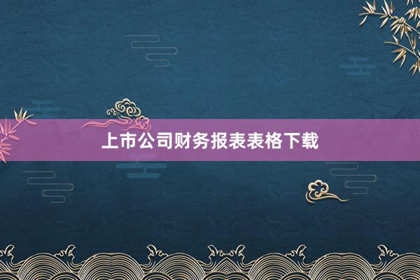 上市公司财务报表表格下载