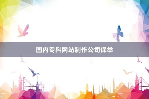 国内专科网站制作公司保举